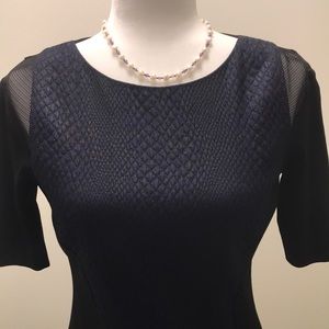 Elite Tahari Black Dress with Blue Detail